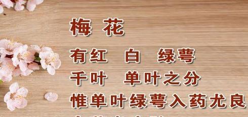 梅花什么时候发芽？梅花的生长周期和养护要点是什么？
