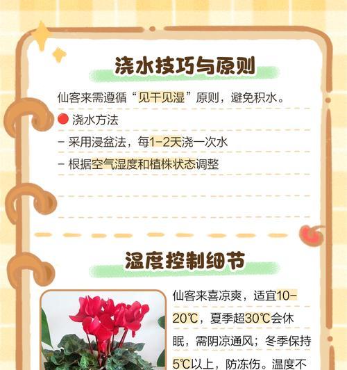 仙客来播种技巧有哪些？播种仙客来需要注意什么？