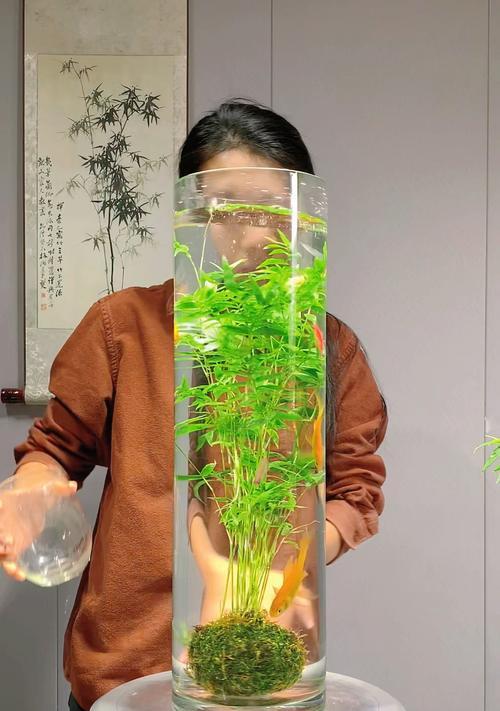 如何自制一个竹盆？