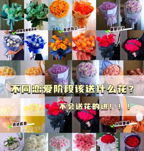 昆明地区流行的玫瑰品种有哪些？昆明玫瑰品种选择指南是什么？