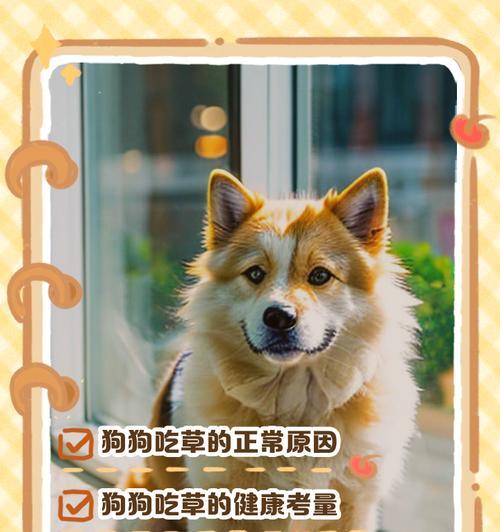 小草狗怎么养？小草狗的养殖方法和注意事项是什么？
