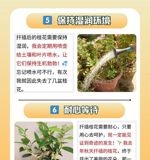 怎么嫁接桂花？桂花嫁接的步骤和技巧是什么？