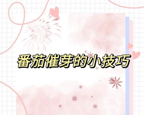 西红柿怎么催芽快