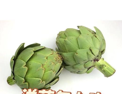 洋蓟怎么种植怎么催芽：全面指南