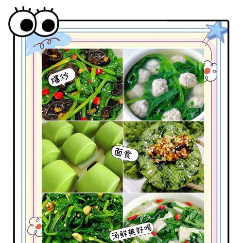 波菜种子怎么种植方法