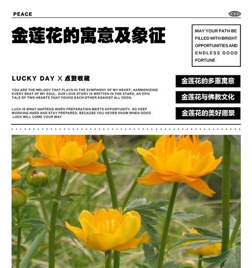 杜鹃花品种大全及其栽培要点