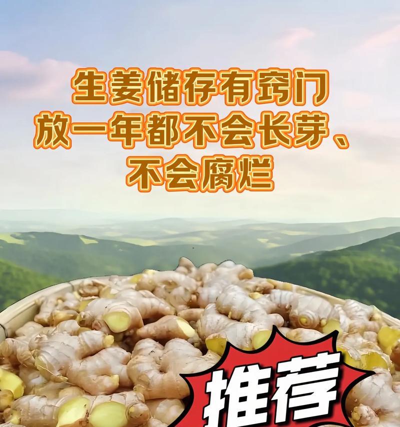姜种已经催芽成功怎么保存