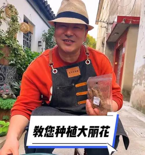 催芽后怎么入土培植苗呢