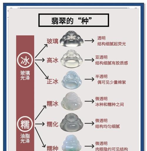 种植翡翠种：专业指导与实践步骤
