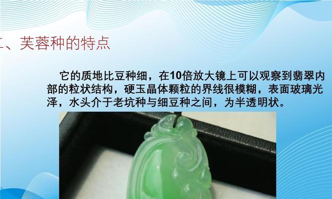 种植翡翠种：专业指导与实践步骤