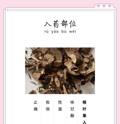 乌饭苗的种植方法详解