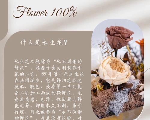 月季花嫁接技巧与注意事项：掌握专业嫁接艺术