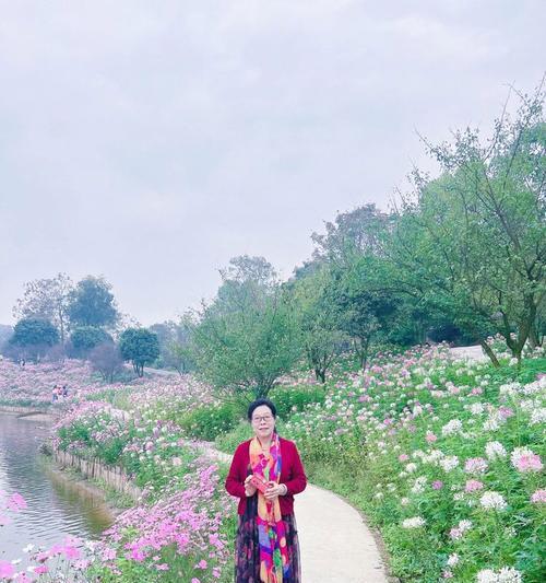 陀螺花怎么种植：全面种植指南与技巧