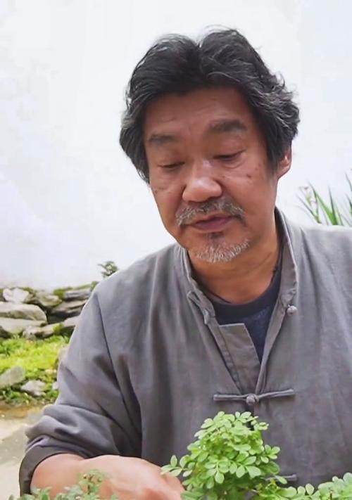 枣皮修剪枝条的技巧与方法