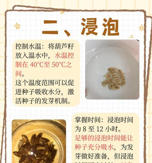 种子怎么判断催芽成功