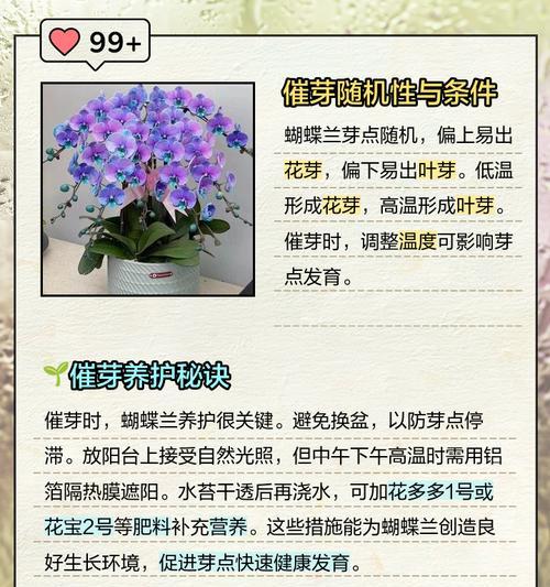 种子怎么判断催芽成功