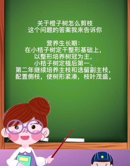 橙子剪枝怎么修剪好看