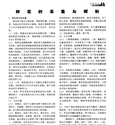 催芽的杏子种子怎么种