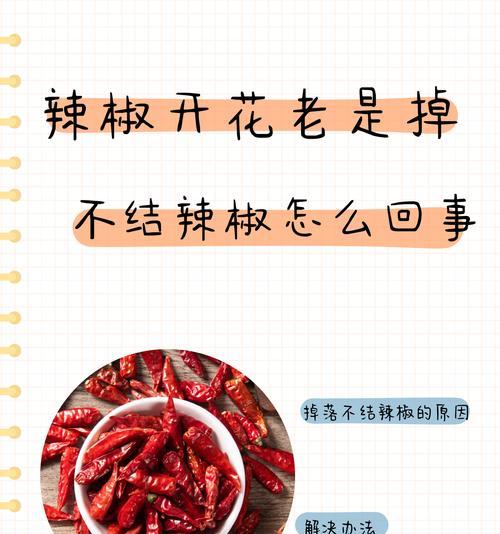 辣椒催芽了怎么办：全面指南助你成功种植