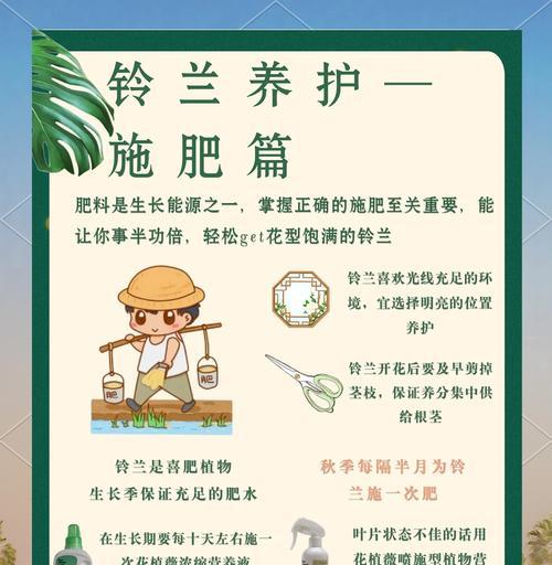 怎么选铃兰花种植方法