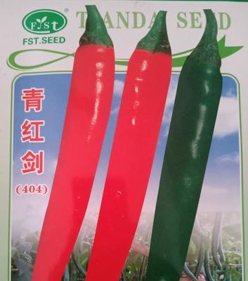 青红美人椒种植指南：全面步骤与技巧揭秘