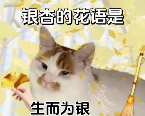 银杏的花语是什么？银杏树象征着什么含义？