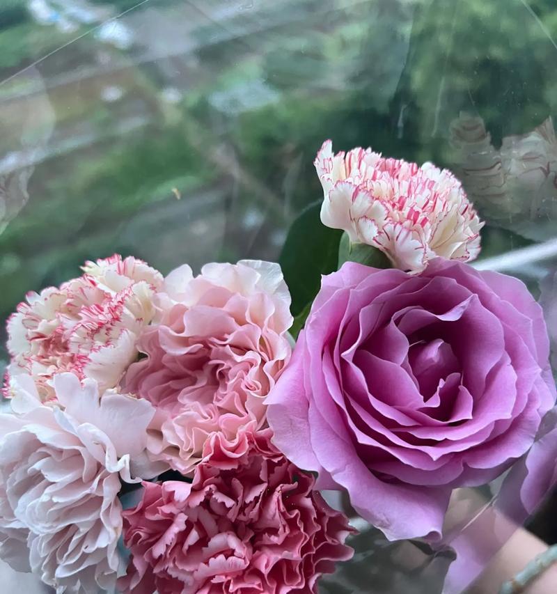 什么花的花语寓意母亲？母亲节送什么花最合适？