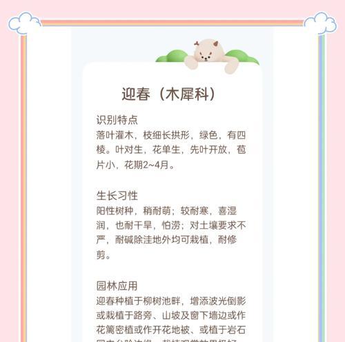 迎风比喻什么花的寓意？如何理解花语中的风向象征？