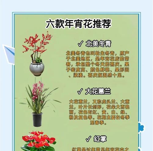 104朵花代表什么含义？花语解释及常见问题解答？