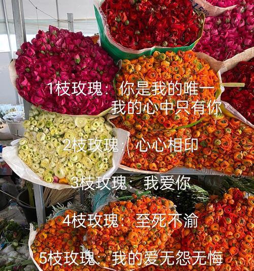玫瑰花语是什么？不同颜色的玫瑰代表什么含义？