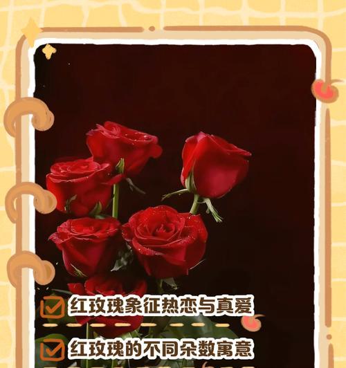 玫瑰花语是什么？不同颜色的玫瑰代表什么含义？