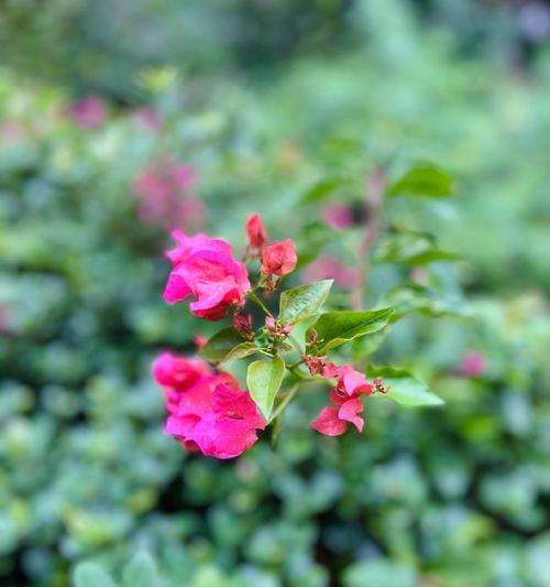 花涧小筑的寓意象征是什么？其背后的文化含义有哪些？