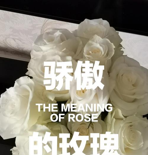 什么花代表自信？揭秘自信花语背后的含义？