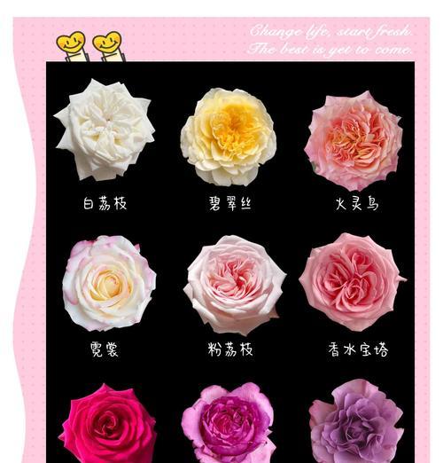 走廊上送玫瑰花代表什么意思？走廊送花的寓意有哪些？