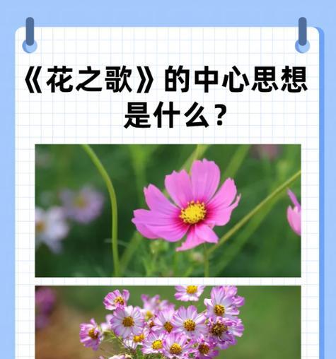 什么花是没有花语？揭秘那些不具花语的花卉种类？
