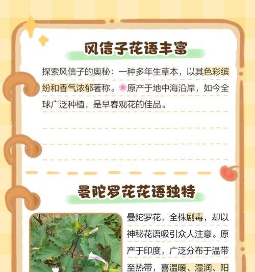 什么花是没有花语？揭秘那些不具花语的花卉种类？