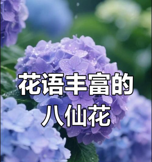 什么花代表浅浅的爱意？浅爱花语有哪些？