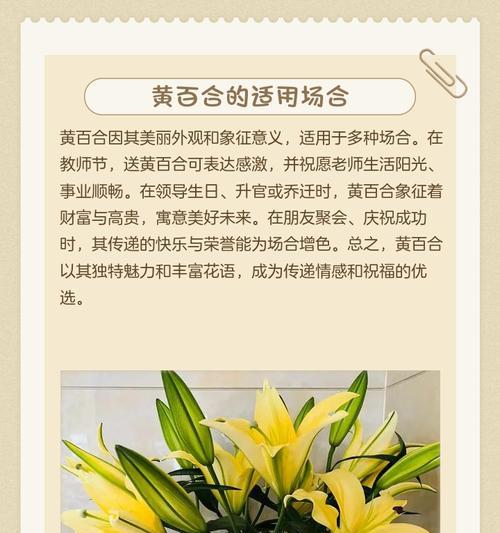 百合花语有哪些含义？如何正确解读百合的象征意义？