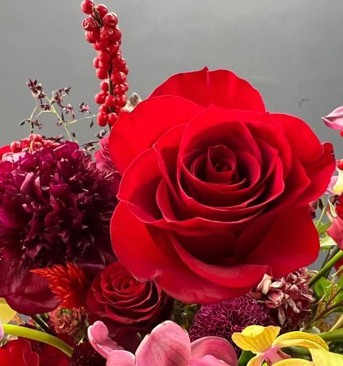 象征慰藉的花卉是什么花？哪种花最能抚慰心灵？