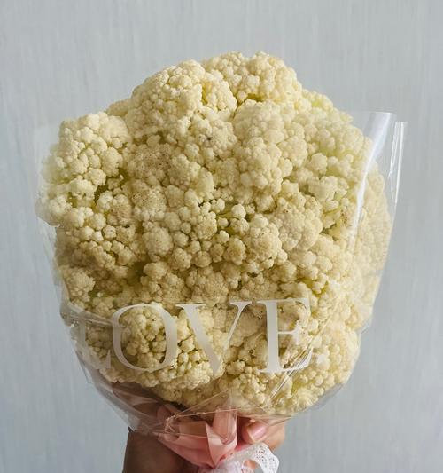 惊喜代表什么花语？不同花卉的花语有哪些含义？