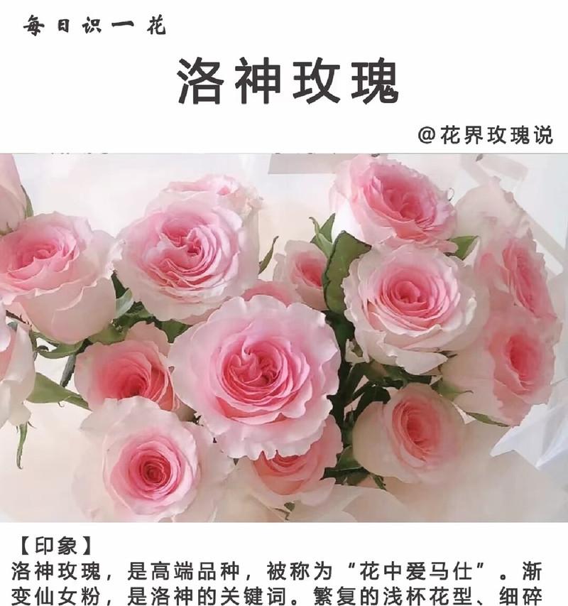 对象的花语是什么？如何通过花朵表达爱意？