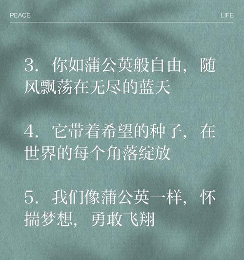 蒲公英花语是什么？它代表着哪些含义和象征？