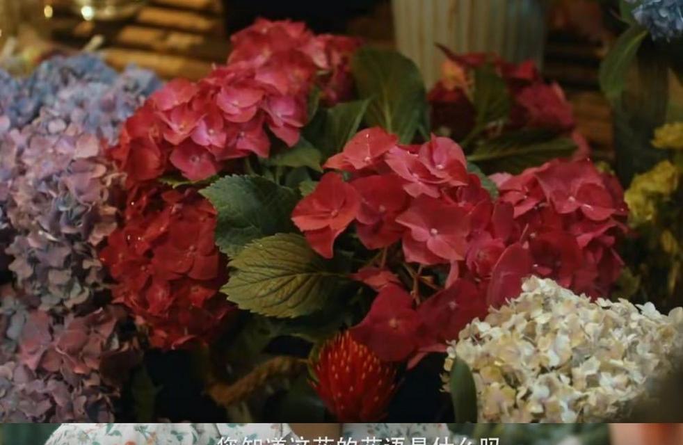 桃子花树的花语是什么？如何正确解读桃树的花语含义？