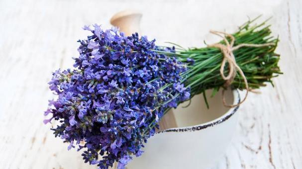 薰花语是什么含义？如何正确理解薰衣草的花语？