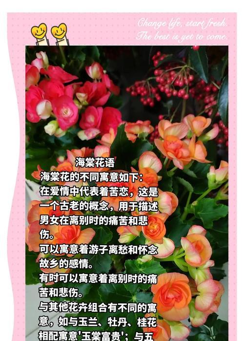 什么花的寓意最凄凉呢？揭秘那些带有悲伤含义的花卉