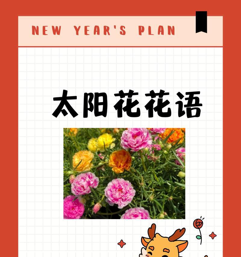 花朵励志的花语是什么？如何选择寓意积极向上的花卉？