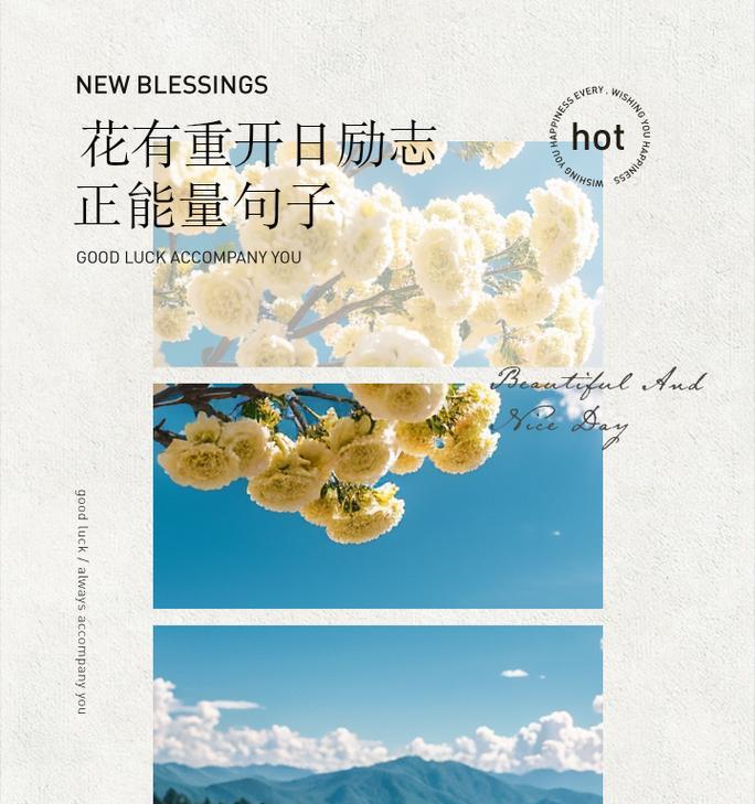 花朵励志的花语是什么？如何选择寓意积极向上的花卉？