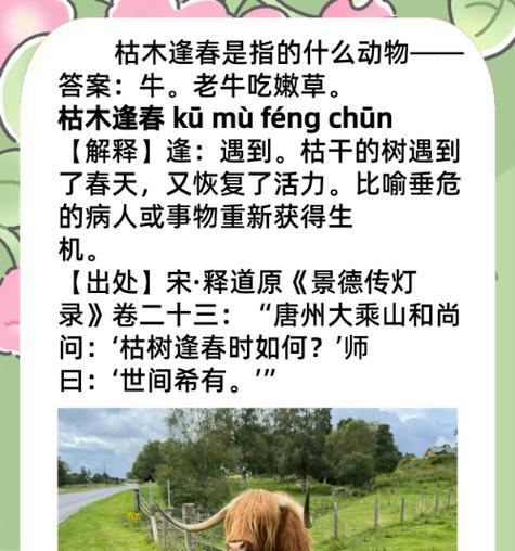 枯树亦有花语是什么？探索自然界的隐喻与意义？