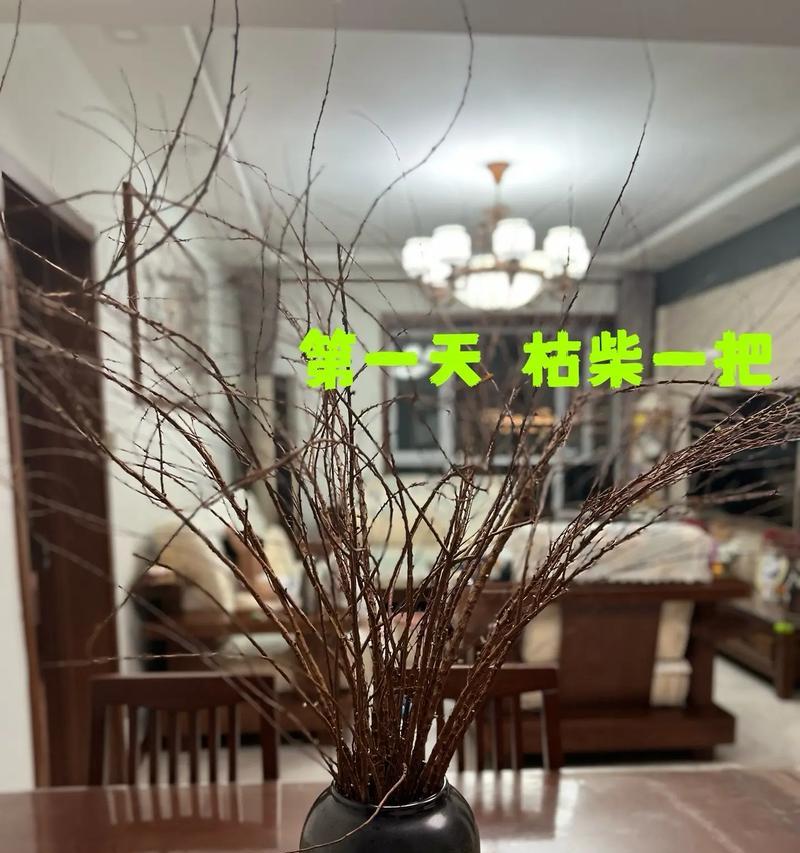 枯树亦有花语是什么？探索自然界的隐喻与意义？
