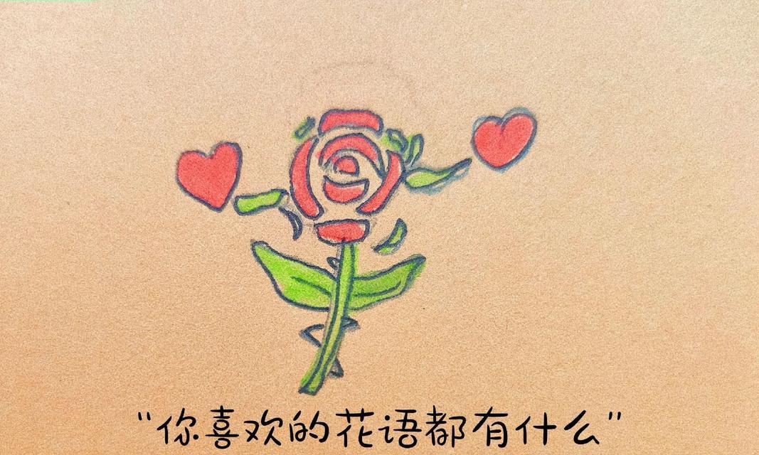 普世之爱花语是什么？如何表达这种爱意？